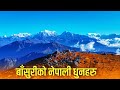 Morning flute music  himalayan flute music     flute nostalgic vibes