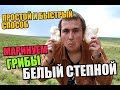 Как мариновать белый степной гриб? / Быстрый способ маринада.