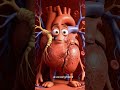 heart health #ReelsIndia #ShortsIndia #ViralReels #TrendingReels #EducationalReels