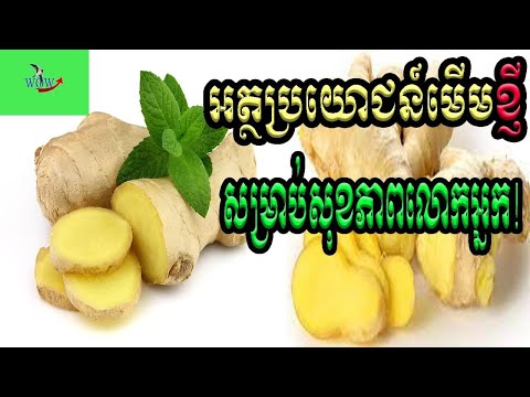 មើមខ្ញីចំពោះសុខភាពយើងទាំងអស់គ្នា