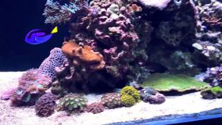 FTV 4/25/2014