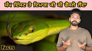 Sapp dekhan to baad damag ki react karda | snake | facts | Nipolean da lakk Tod Dita c | Gadri Yodhe