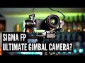 Sigma FP - The Ultimate Gimbal Camera?