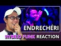ENDRECHERI 堂本剛 - HYBRID FUNK REACTION