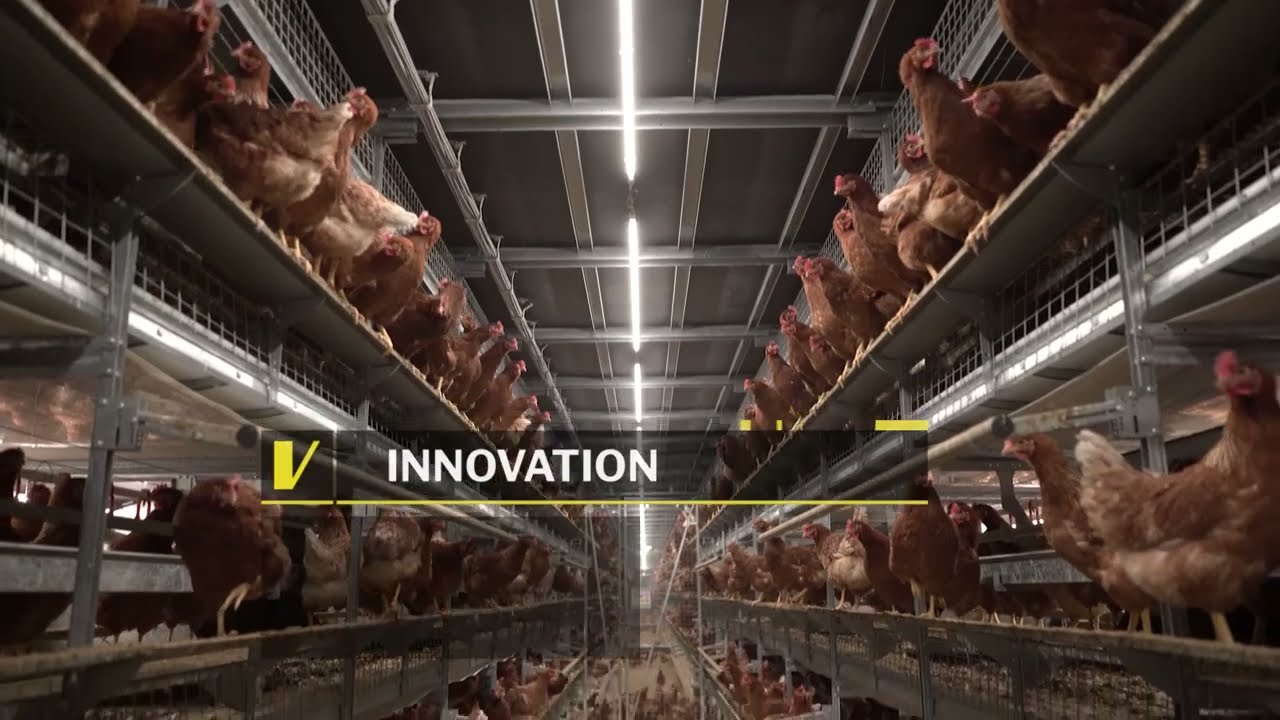 Volo Vita 2.0 – Staggered Nest Aviary for Layers | Valli