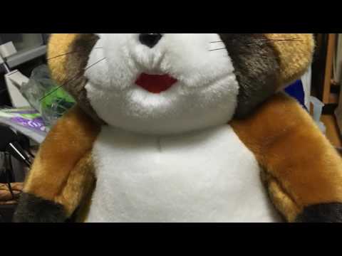 [everysing] ギザギザハートの子守唄