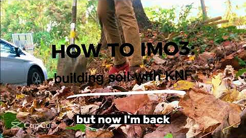 How to IMO3: building soil with Korean Natural Farming