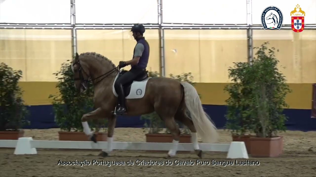 250123 9 Projeto de Ensino APSL&FEP - Luis Fernandes com Lavrador