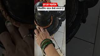 शिवलिंग चंदन कैसे लगाते हैं #shivling #chandan #shorts #pradeepmishraji#shivmhapuran