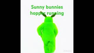 Sunny Bunnies Hopper Running