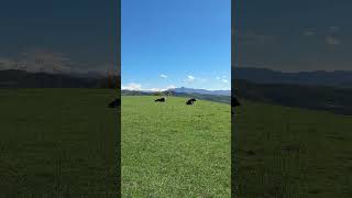 #milkyway #travel #automobile #nature #reels #mountains #horse #offline #lovestatus #camping #car