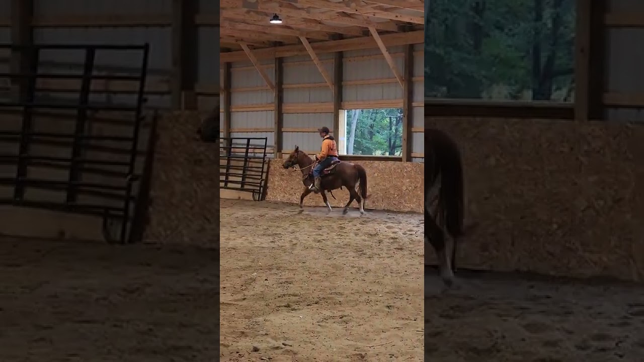 Lesson from Mark Lyon