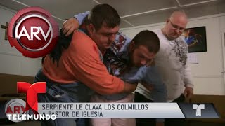 Cascabel muerde a pastor en pleno sermón | Al Rojo Vivo | Telemundo