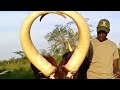 Nkareba Song Amabare Ankole Culture Cows