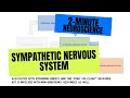 2-Minute Neuroscience: Sympathetic Nervous System