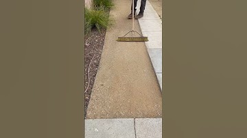 Have you ever resurfaced your DG?