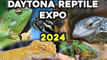 Daytona Nationale Reptielenfokkers Expo 2024
