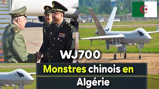 Algérie Larmée algérienne se renforce des monstres chinois WJ700 et confond le Maroc