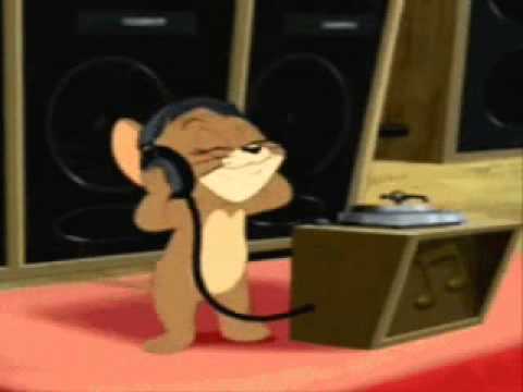 Tony Q rastafara politik