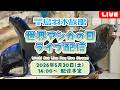 《鳥羽水族館》　世界アシカの日！ライブ配信