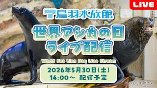 《鳥羽水族館》　世界アシカの日！ライブ配信