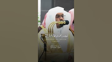 تلاوة خاشعة لفضيلة الشيخ أ.د #ياسر_الدوسري من تراويح ليلة الثانية#رمضان١٤٤٥