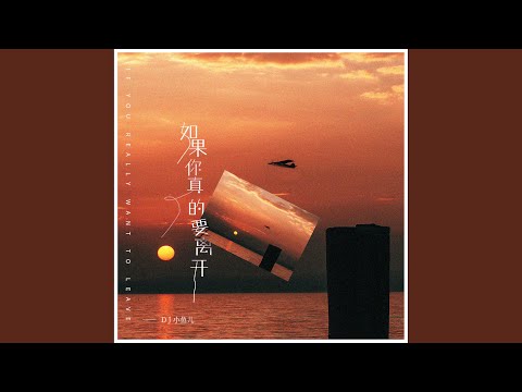 如果你真的要离开 (DJ版)