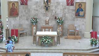 Sunday Mass May 24, 2026