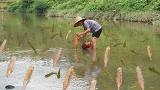 孙子爱吃野生小鱼，阿婆和他拿10个笼装了3斤，油炸很过瘾Grandma used 10 bamboo cages to catch 3 pounds of fish and shrimps｜玉林阿婆