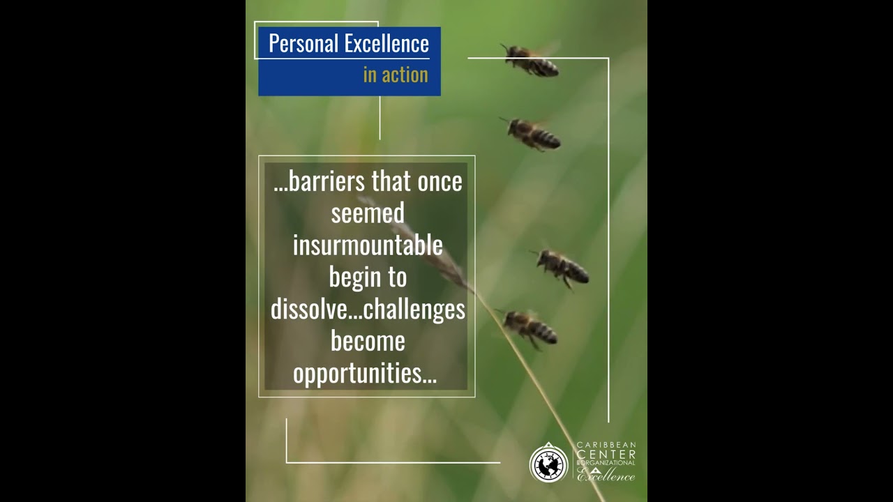 Personal Excellence in Action 02- 0325