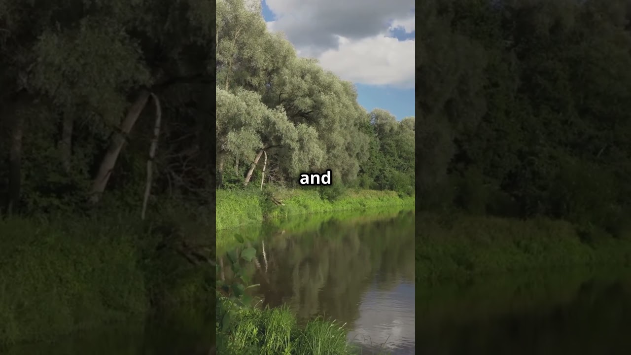 Discover the Hidden Gens of Latvia ✈️🇱🇻🇱🇻