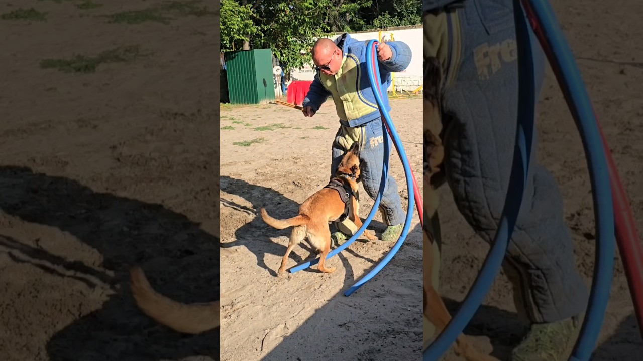 😱‼️Oh oh!  Hard bite.  