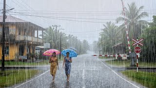 Sehr weiche Regengeräusche | Gehen Sie in Regengeräuschen für Schlaf, Fokus und Entspannung screenshot 4