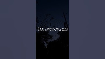 أَوَلَمْ يَرَوْا إِلَى الطَّيْرِ فَوْقَهُمْ صَافَّاتٍ وَيَقْبِضْنَ ۚ || سورة الملك #احمد_النفيس 🤍🌱