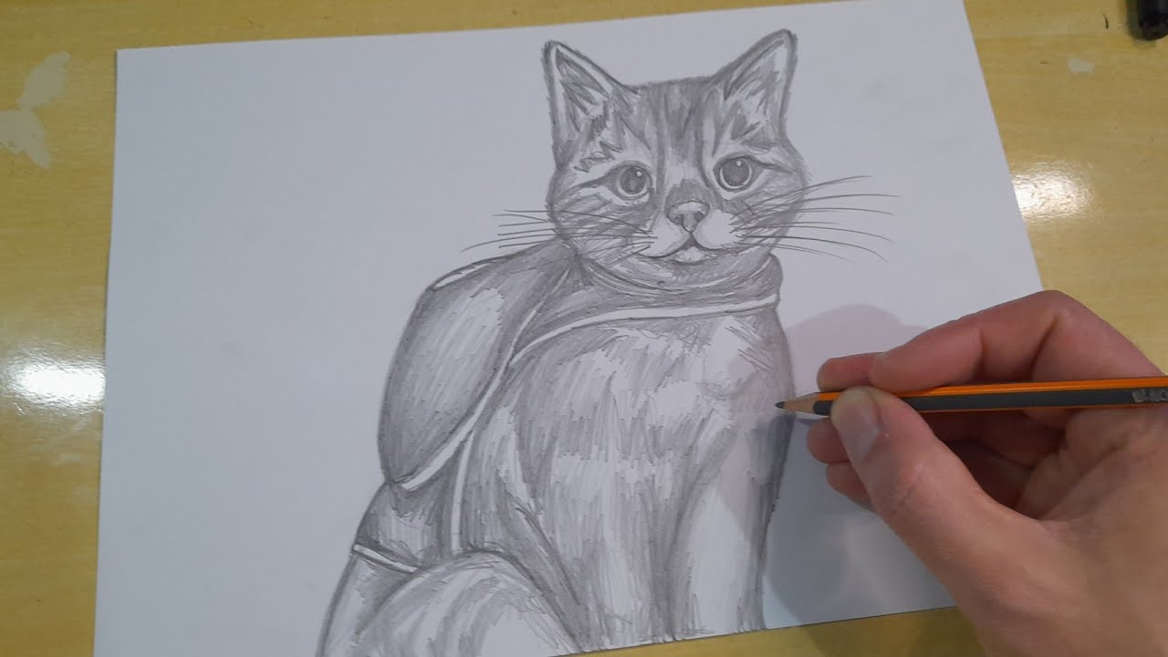 Qualquer pessoa pode desenhar gatos: Tutorial de desenho passo-a-passo  fácil para crianças, adolescentes e iniciantes. Como aprender a desenhar  gatos. Livro 1 (Guia do aspirante a artista) eBook : Smith, Julia:  