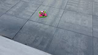 Brushless Tiny Whoover