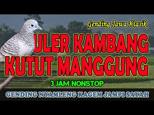 Gending Jawa Klasik Uler Kambang Kutut Manggung Nonstop 3 Jam - Uyon uyon Gending Kagem Jampi Sayah class=