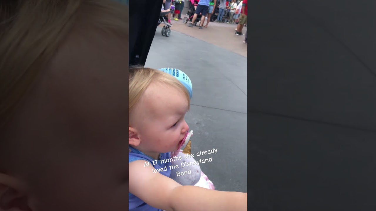 Loves the Disneyland Band 