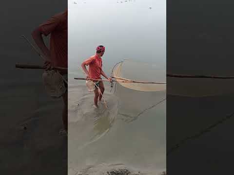 Top Fishing Expert