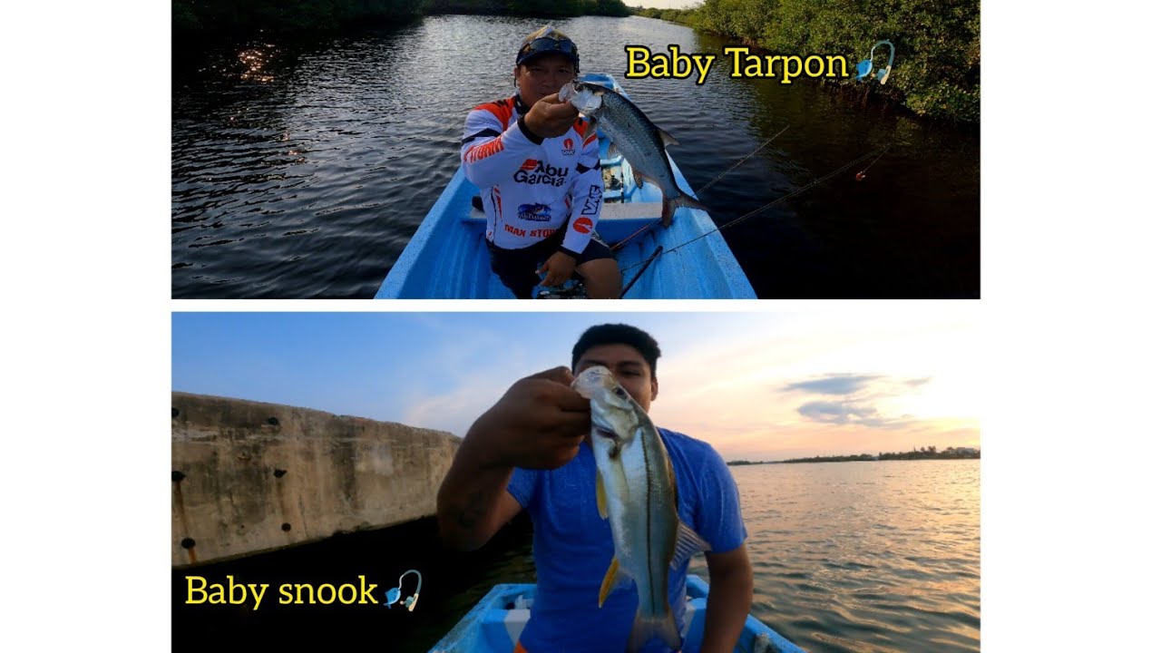Baby Snook // Baby Tarpon // De pesca con Arturoo // Solo pesca y