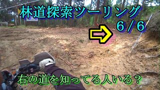 No. 763 Forest road exploration touring in Toei-cho, Kitashitara-gun, Aichi Prefecture 6/6 Serow