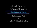 Black Screen 10 Hours - Chirping Crickets and Frogs - Night Ambience - Night Sounds - Nature Sounds.