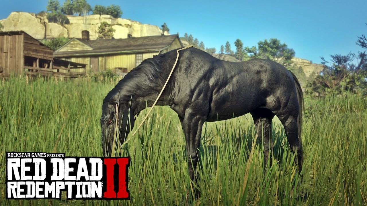 Мустанг рдр. Red Dead Redemption 2 черный конь. Red Dead Redemption 2 черная лошадь. Red Dead Redemption 2 чистокровная верховая. Red Dead Redemption 2 Turkoman Horse.