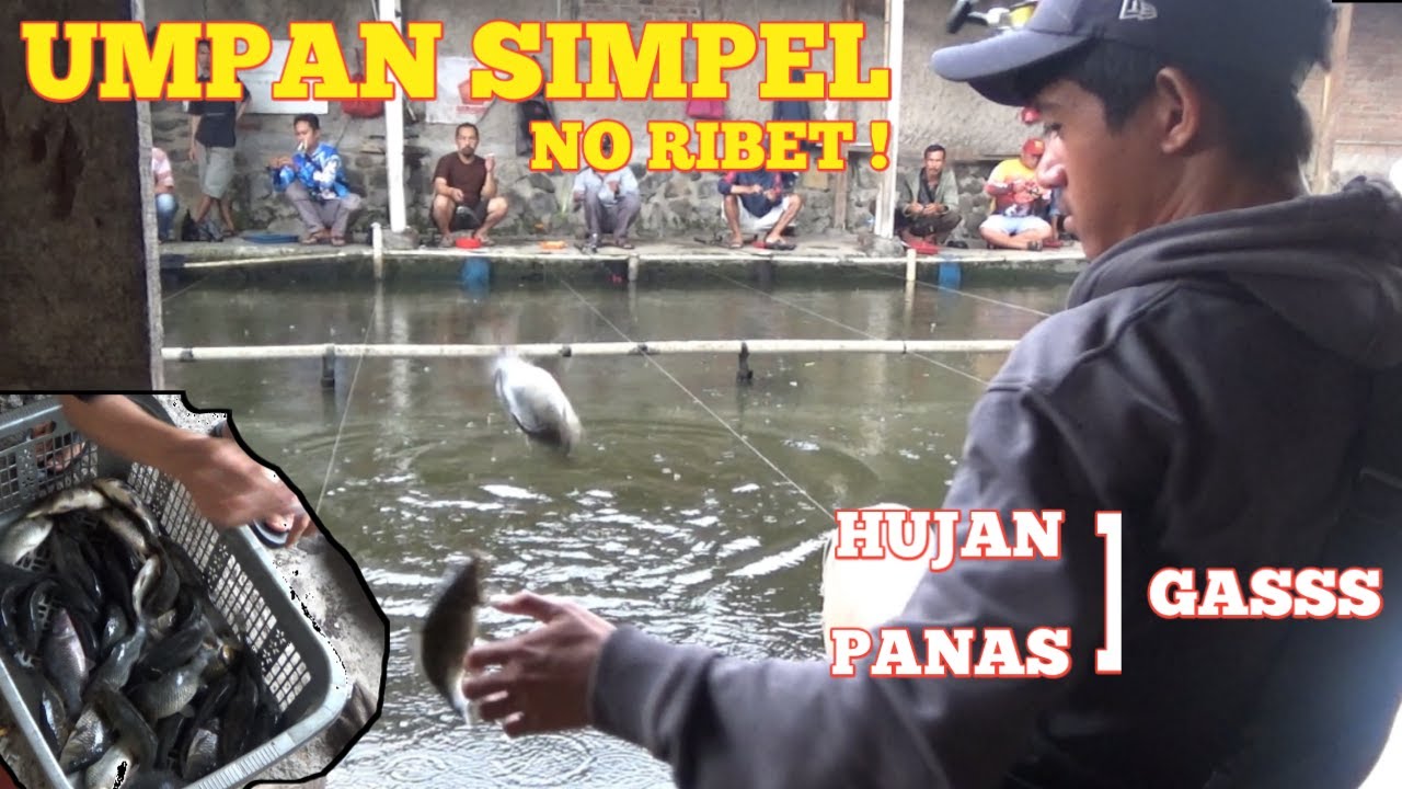 TIKET 100 RIBU DILUAR EKSPETASI !! IKAN HAP - HAP NGETRIK NYA ADUHAAAY !