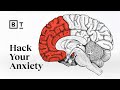 Anxiety evolved to help us  what went wrong a neuroscientist explains  wendy suzuki