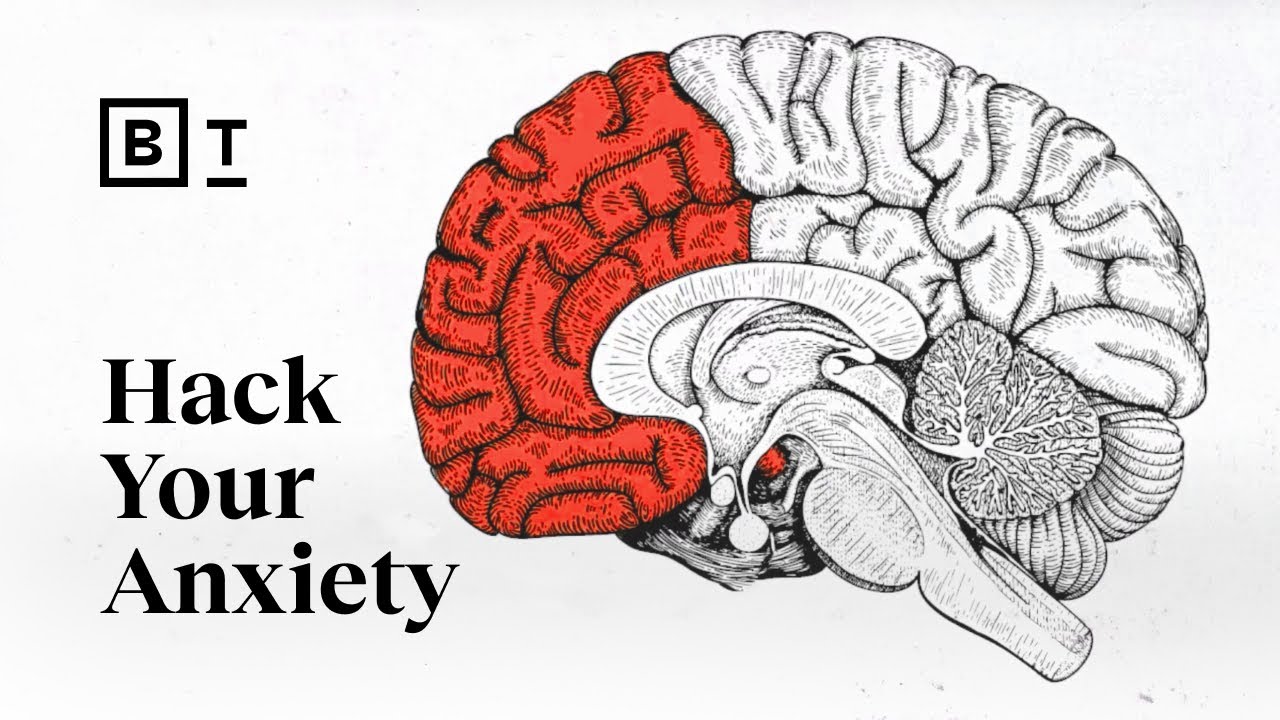 Anxiety evolved to help us — what went wrong? A neuroscientist explains. | Wendy Suzuki