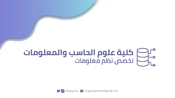 تخصص نظم معلومات ادارية