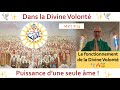 Formation à La Divine Volonté