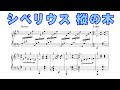 シベリウス 「5つの小品」より《樅の木》 Op.75-5