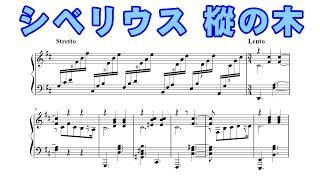 シベリウス 「5つの小品」より《樅の木》 Op.75-5